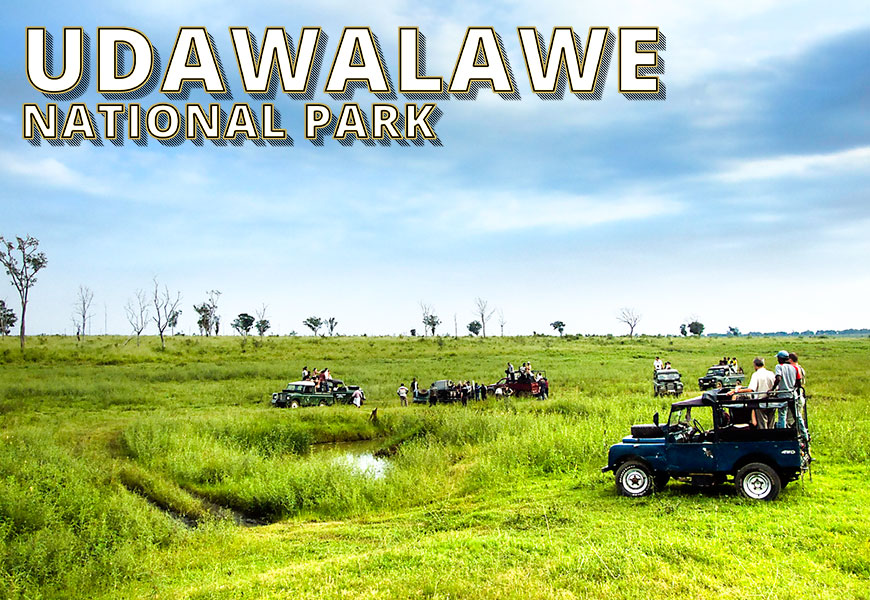 udawalwe-national-park