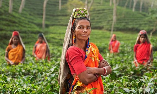 Culture-And-History-Buff